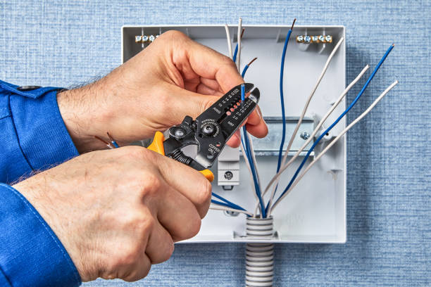 Best Electrical Panel Upgrades  in Lyons, GA